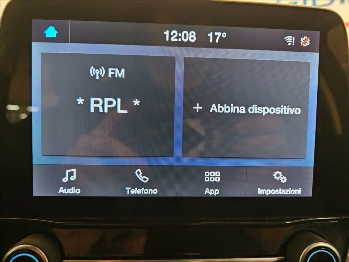 Ford EcoSport usata a Palermo (20)