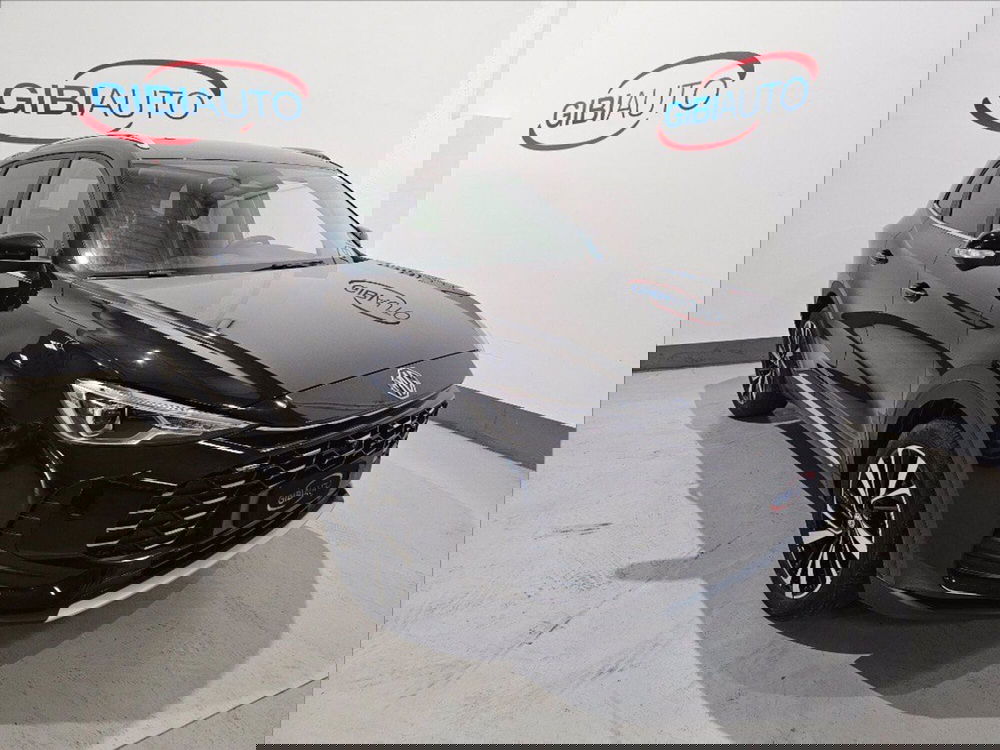 Mg ZS usata a Palermo