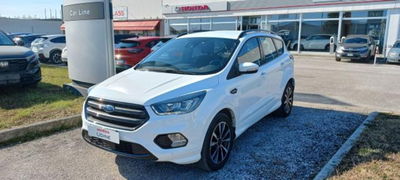 Ford Kuga 2.0 TDCI 120 CV S&amp;S 2WD Business N1 del 2018 usata a Tavagnacco
