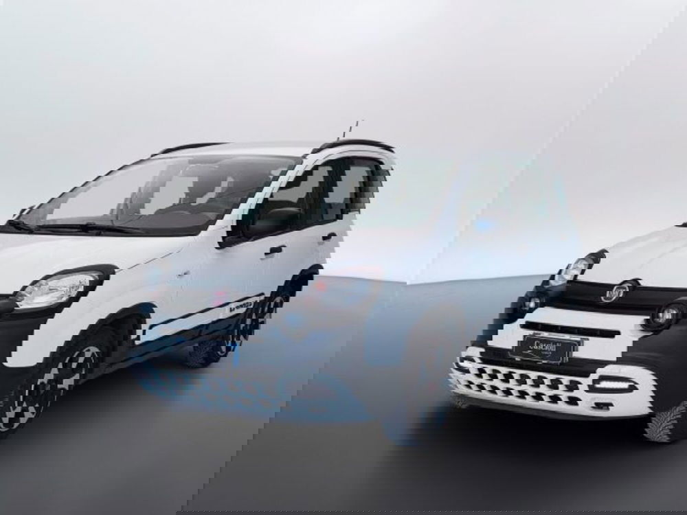 Fiat Panda usata a Teramo