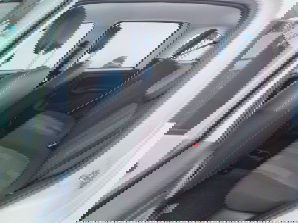 Fiat Panda usata a Teramo (12)