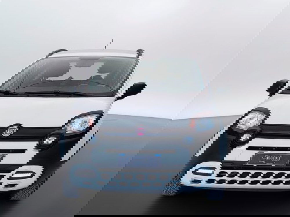 Fiat Panda usata a Teramo (2)