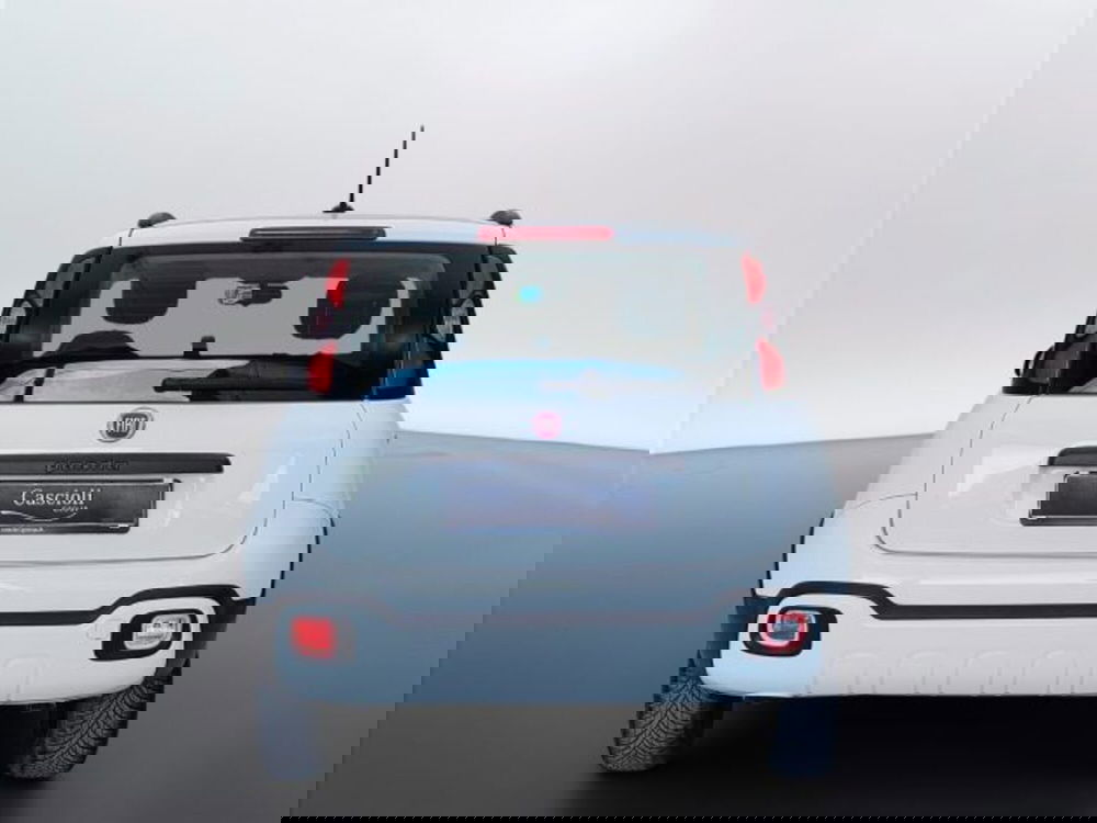 Fiat Panda usata a Teramo (6)