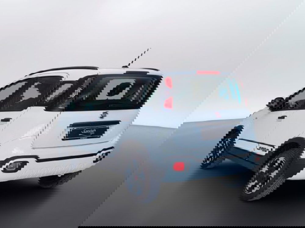 Fiat Panda usata a Teramo (7)