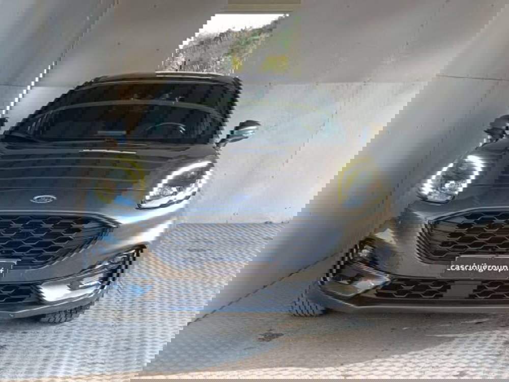 Ford Puma usata a Teramo (2)