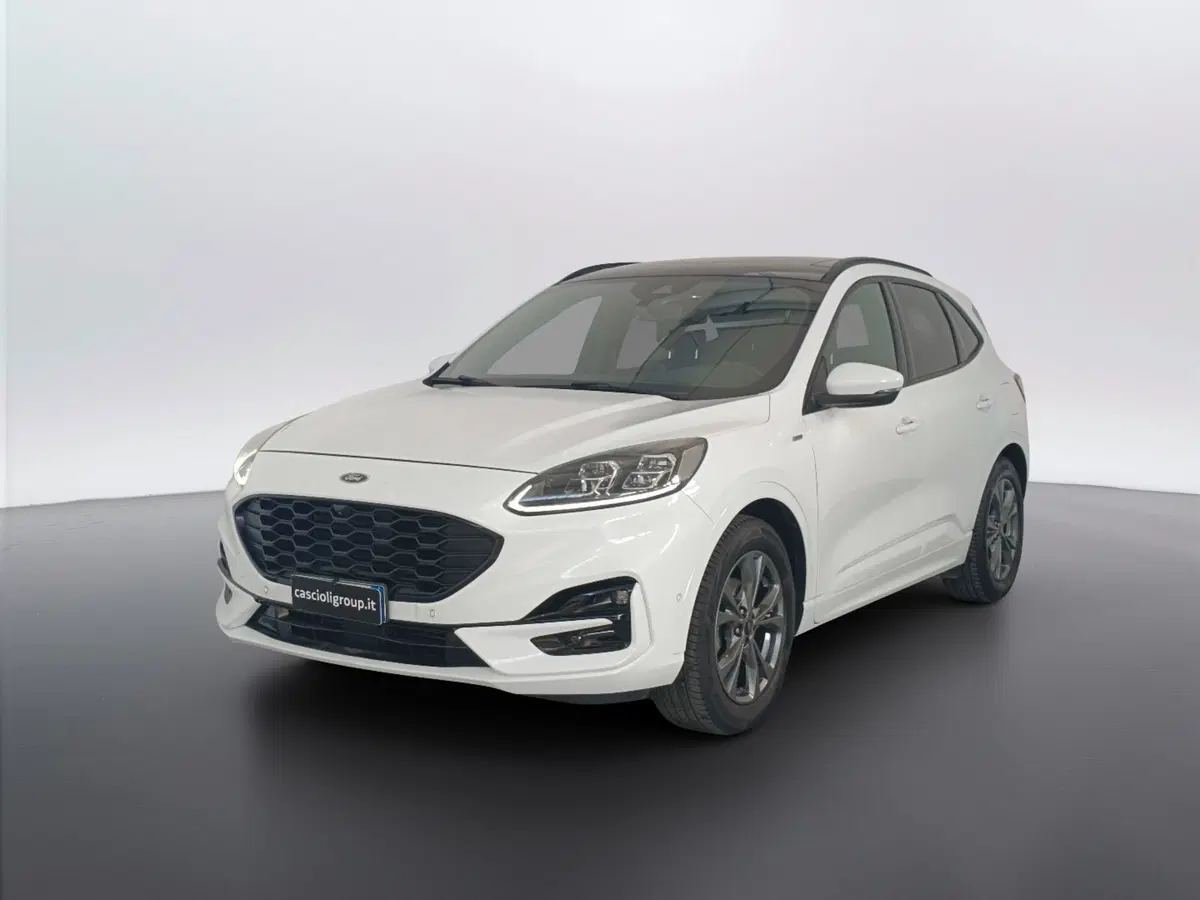 Ford Kuga usata a Ascoli Piceno