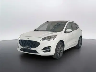 Ford Kuga 1.5 EcoBlue 120 CV aut. 2WD ST-Line X del 2021 usata a San Benedetto del Tronto