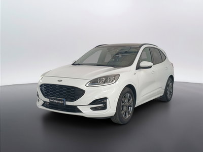 Ford Kuga 1.5 EcoBlue 120 CV aut. 2WD ST-Line X Design del 2021 usata a San Benedetto del Tronto