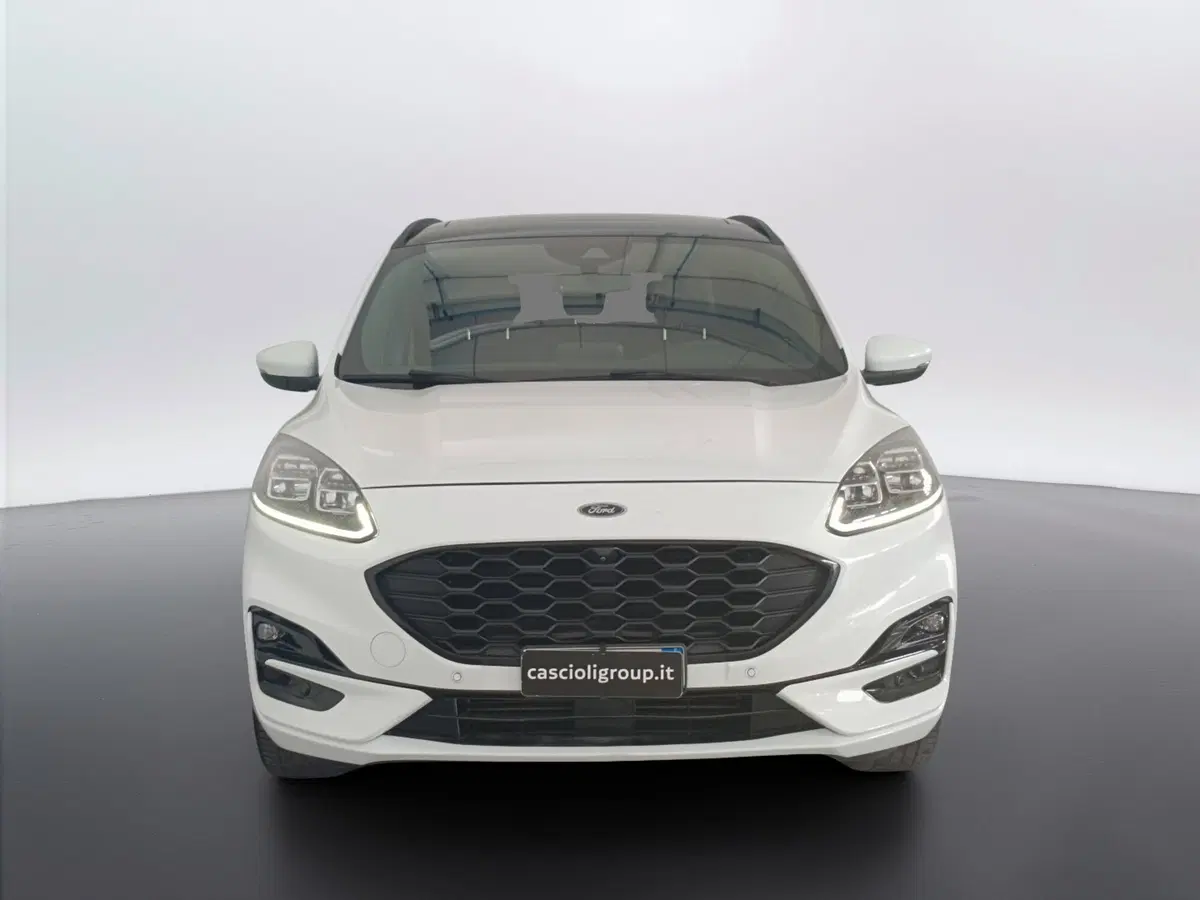 Ford Kuga usata a Ascoli Piceno (2)