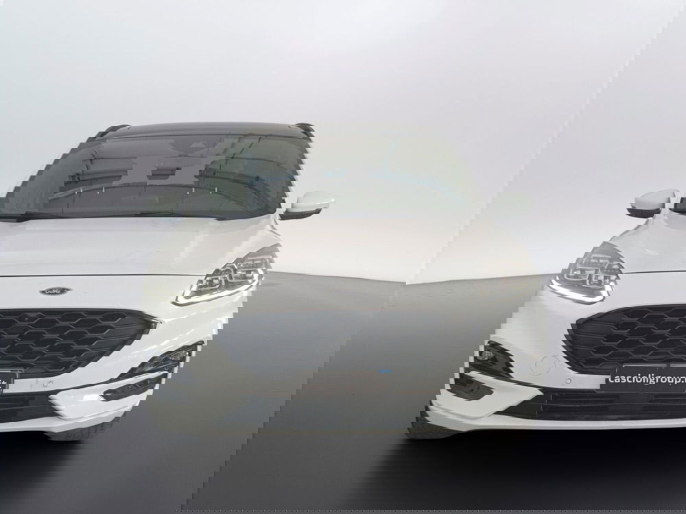 Ford Kuga usata a Ascoli Piceno (2)