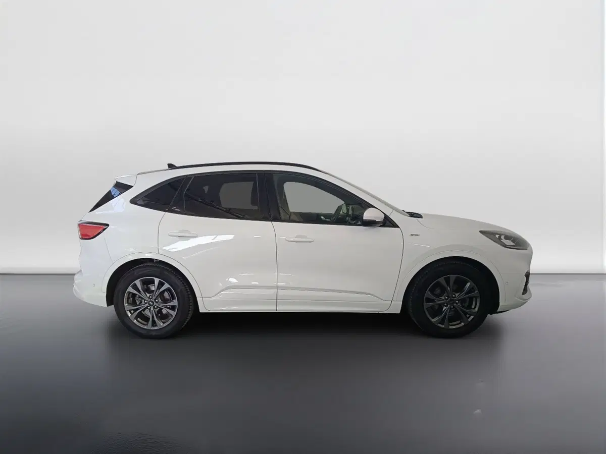 Ford Kuga usata a Ascoli Piceno (3)