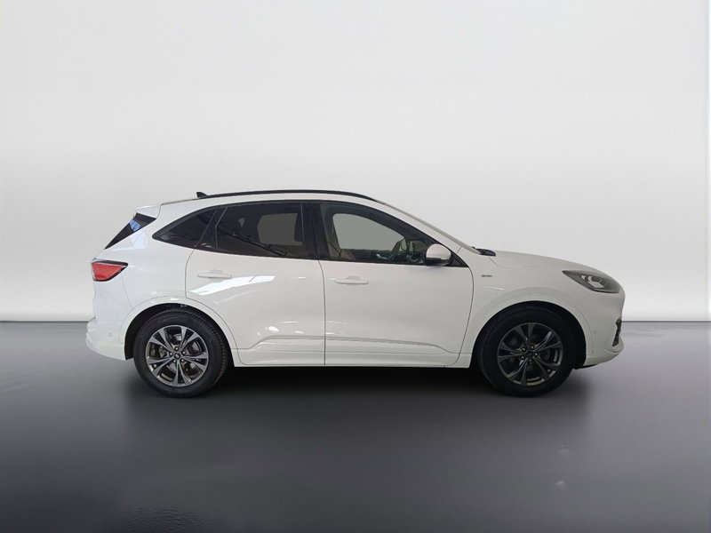 Ford Kuga usata a Ascoli Piceno (3)