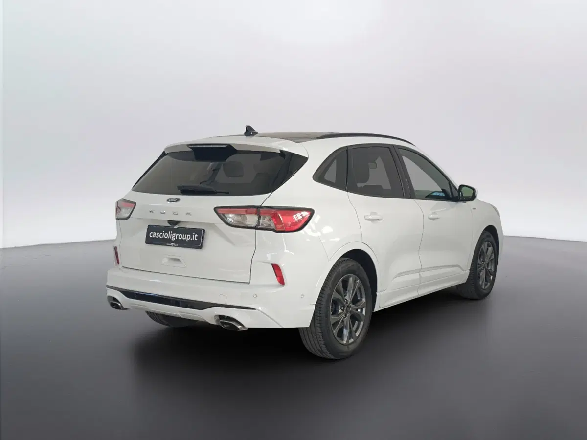 Ford Kuga usata a Ascoli Piceno (4)