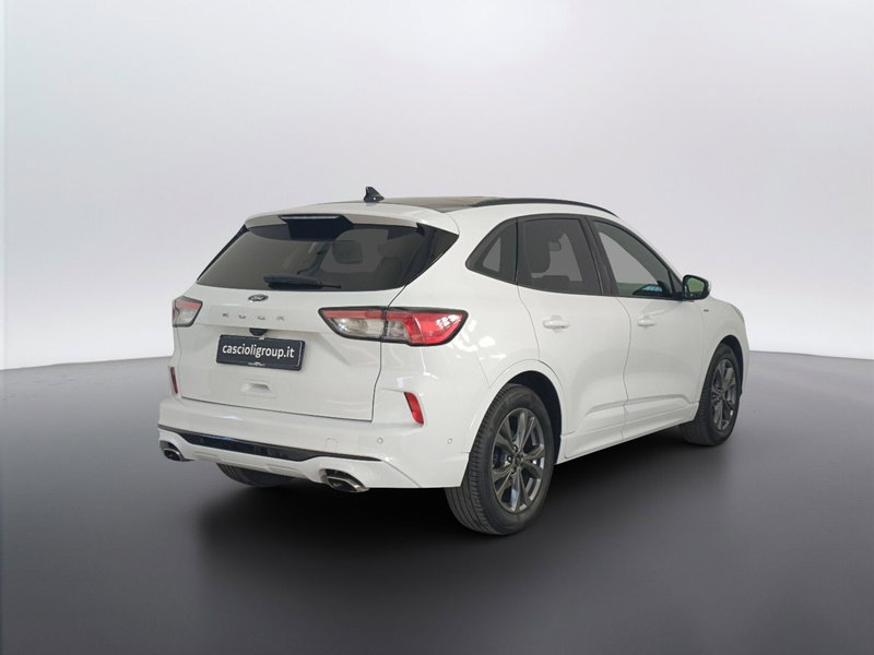 Ford Kuga usata a Ascoli Piceno (4)