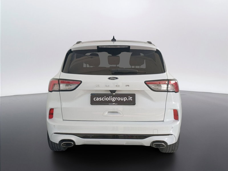 Ford Kuga usata a Ascoli Piceno (5)