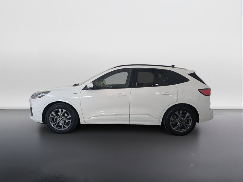 Ford Kuga usata a Ascoli Piceno (6)