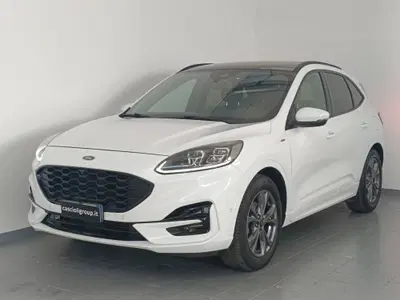 Ford Kuga 1.5 EcoBlue 120 CV aut. 2WD ST-Line X del 2021 usata a San Benedetto del Tronto