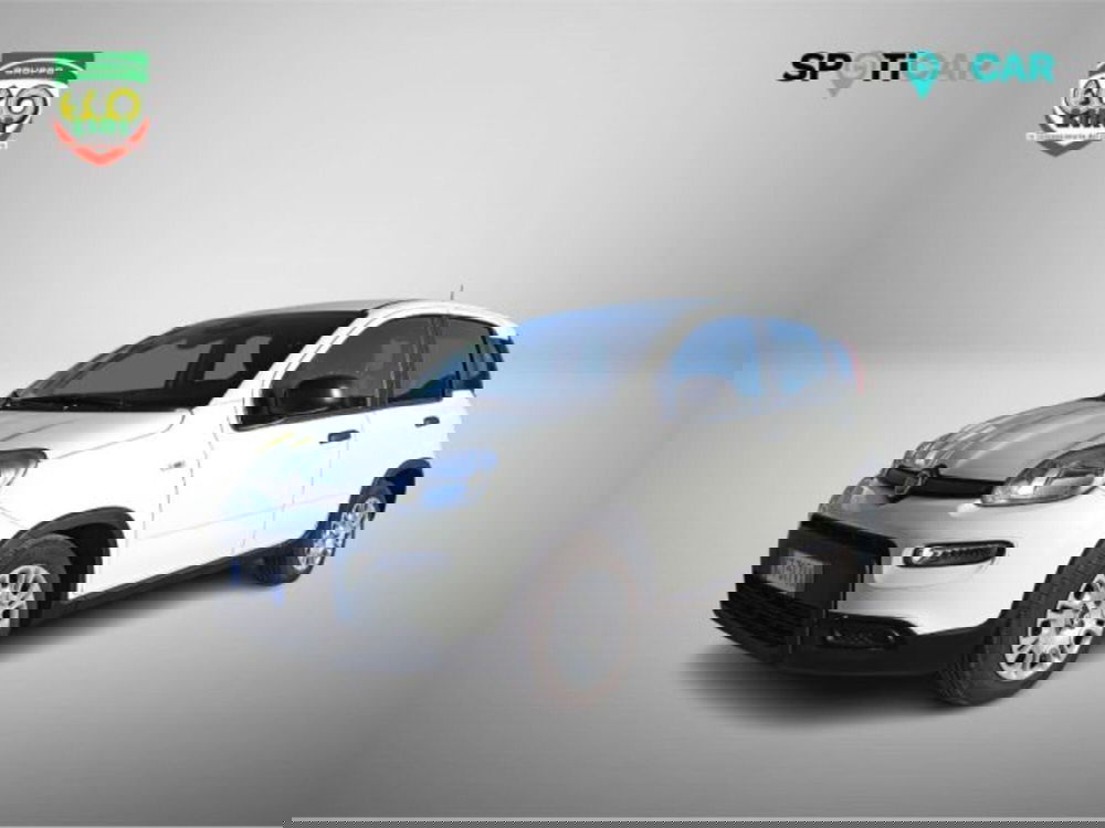 Fiat Panda usata a Frosinone