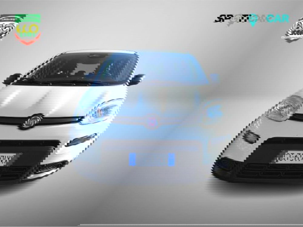 Fiat Panda usata a Frosinone (2)