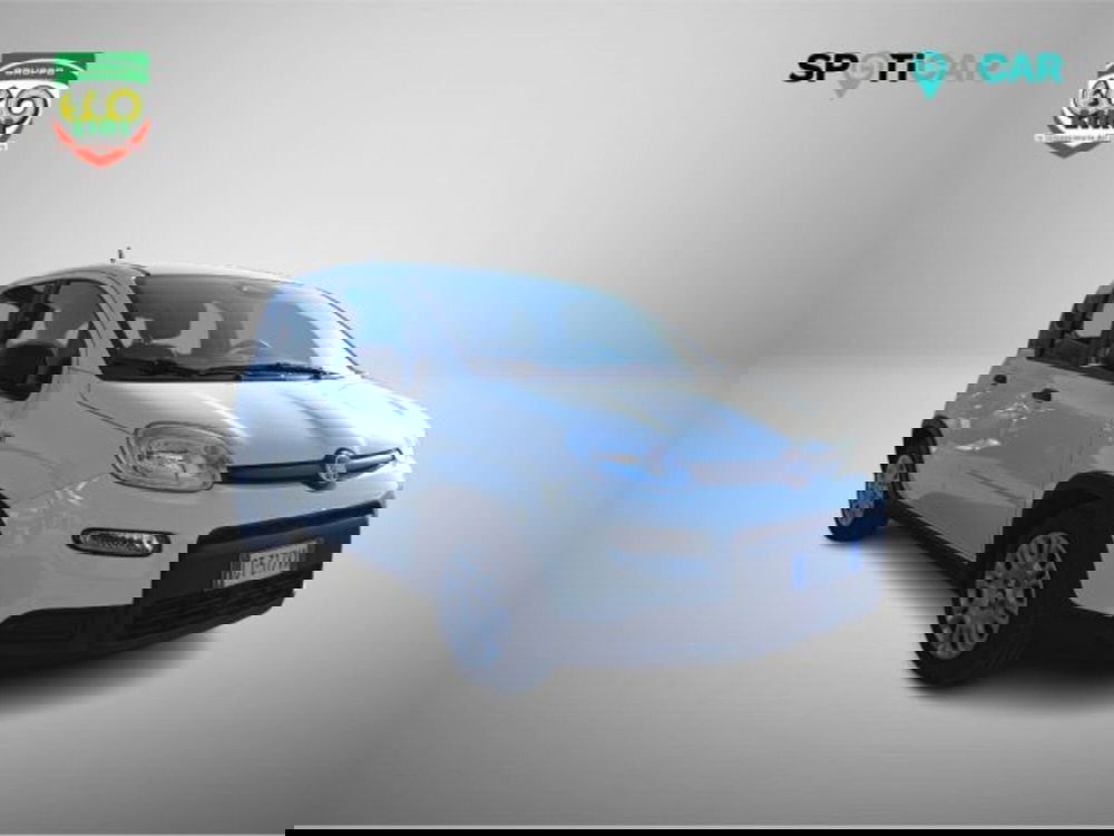 Fiat Panda usata a Frosinone (3)