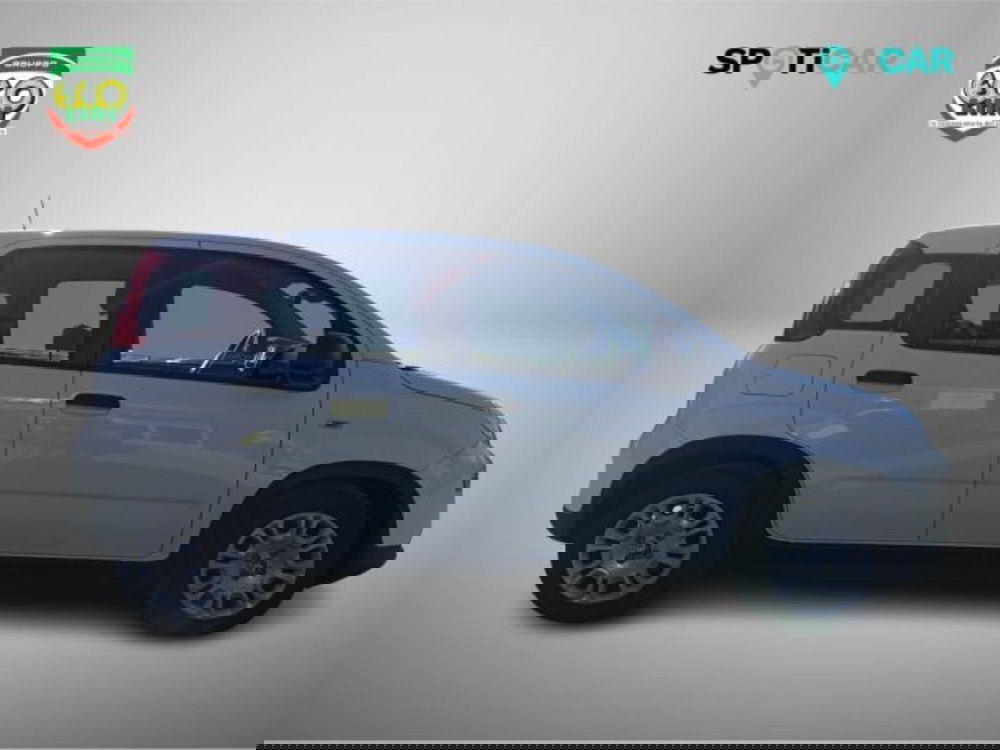 Fiat Panda usata a Frosinone (4)