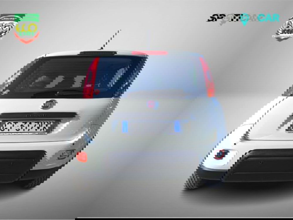 Fiat Panda usata a Frosinone (5)