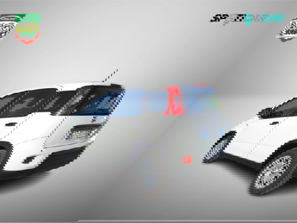 Fiat Panda usata a Frosinone (7)