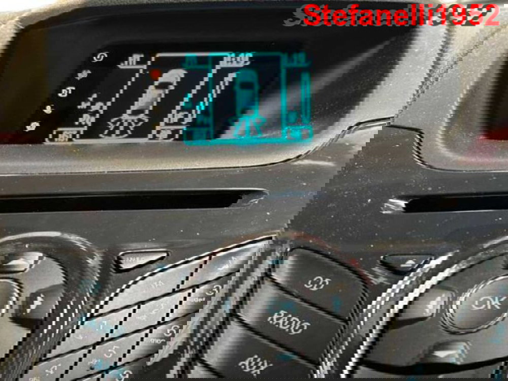 Ford EcoSport usata a Bologna (17)