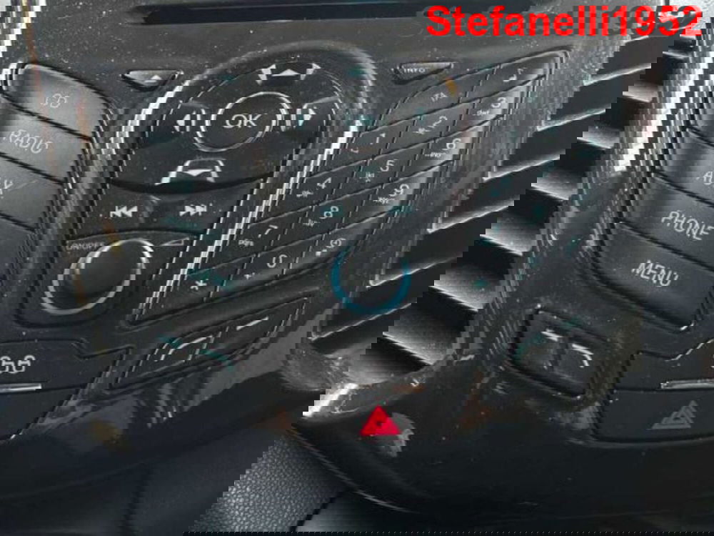 Ford EcoSport usata a Bologna (18)