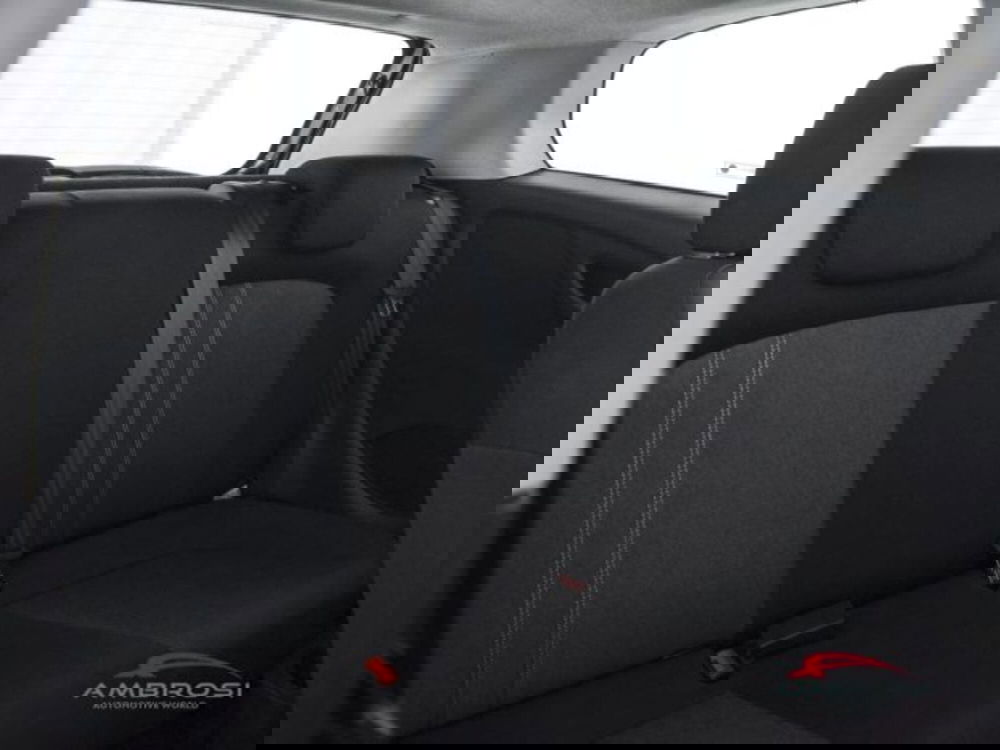 Fiat Punto usata a Perugia (11)