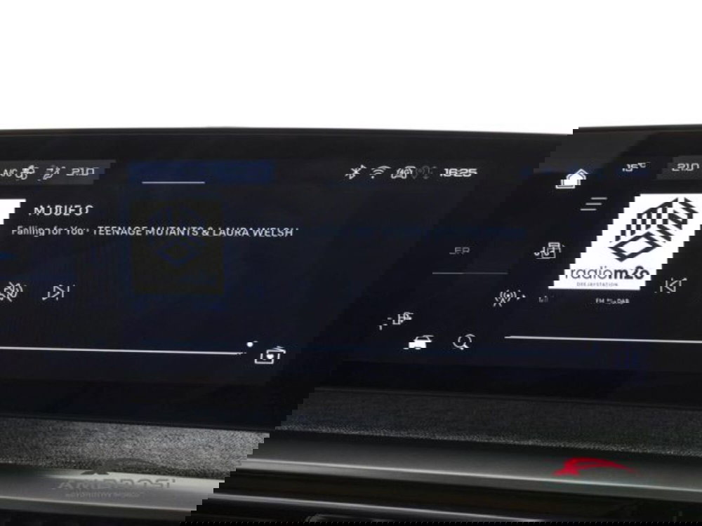 Peugeot 3008 usata a Perugia (14)