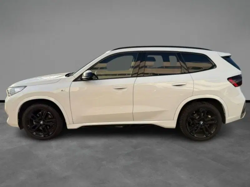 BMW X1 usata a Lecce (2)