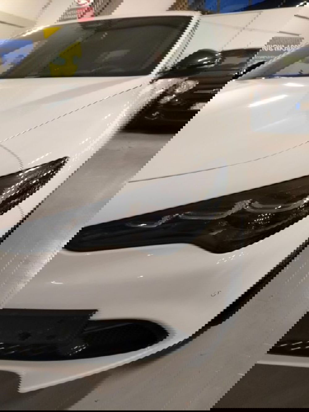 Alfa Romeo Stelvio usata a Forlì-Cesena (12)