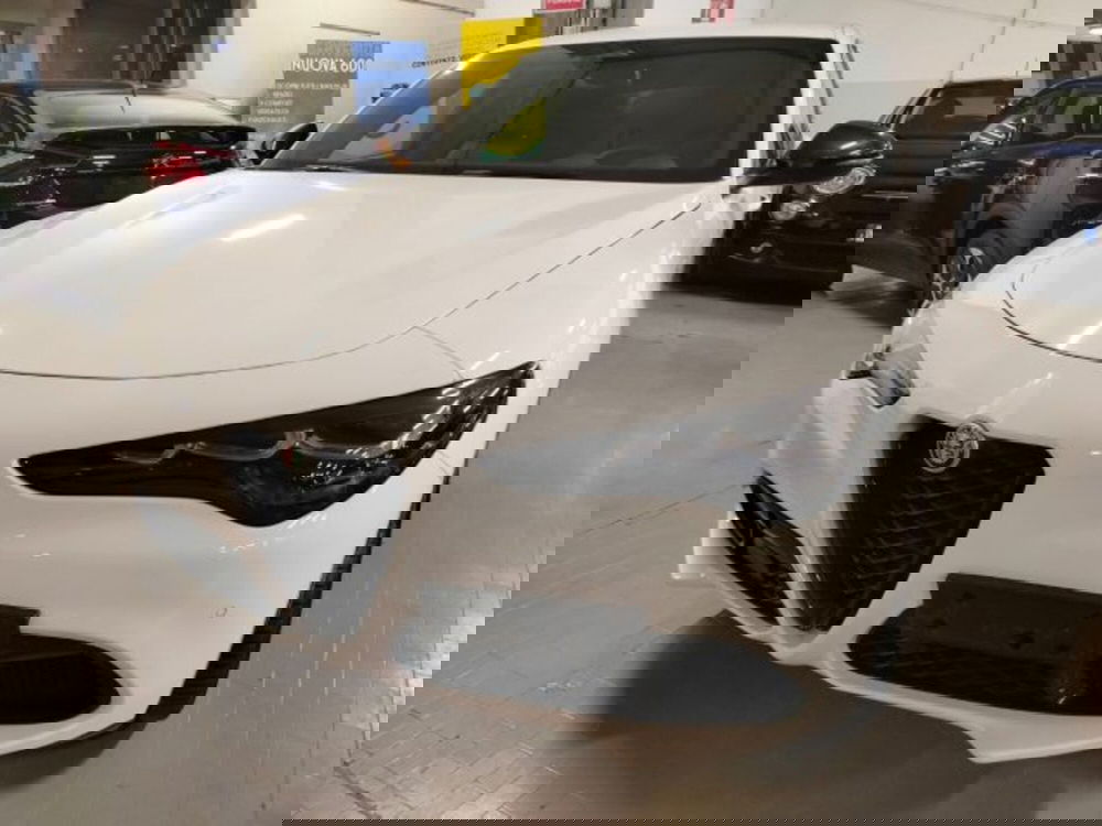 Alfa Romeo Stelvio usata a Forlì-Cesena (2)