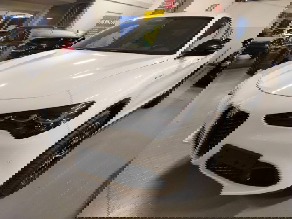 Alfa Romeo Stelvio usata a Forlì-Cesena (3)