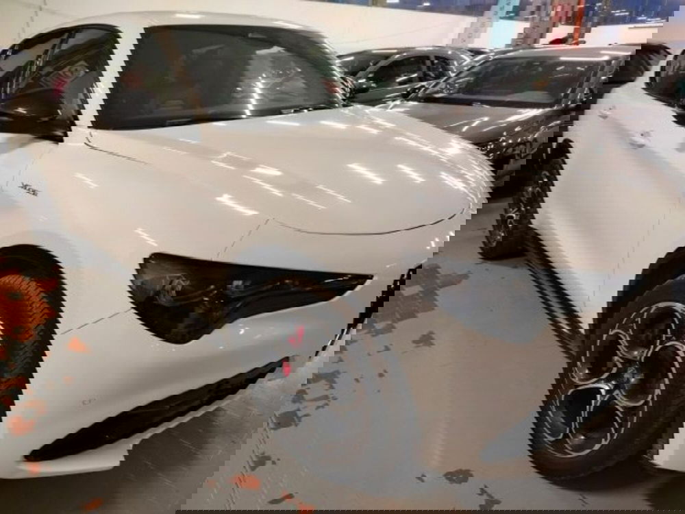 Alfa Romeo Stelvio usata a Forlì-Cesena (4)