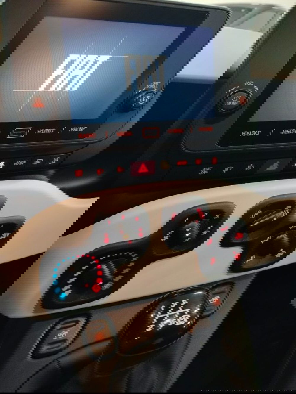 Fiat Panda usata a Forlì-Cesena (20)