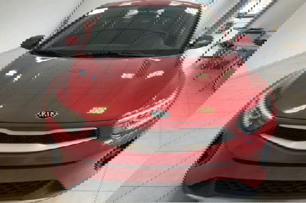 Kia Stonic usata a Cosenza (2)