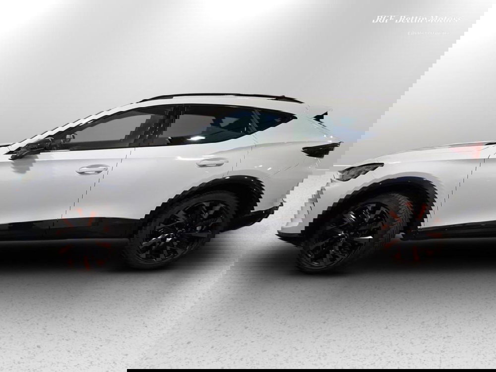 Cupra Formentor usata a Padova (2)