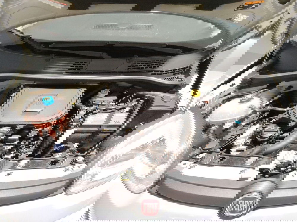 Fiat Panda Cross usata a L'Aquila (10)