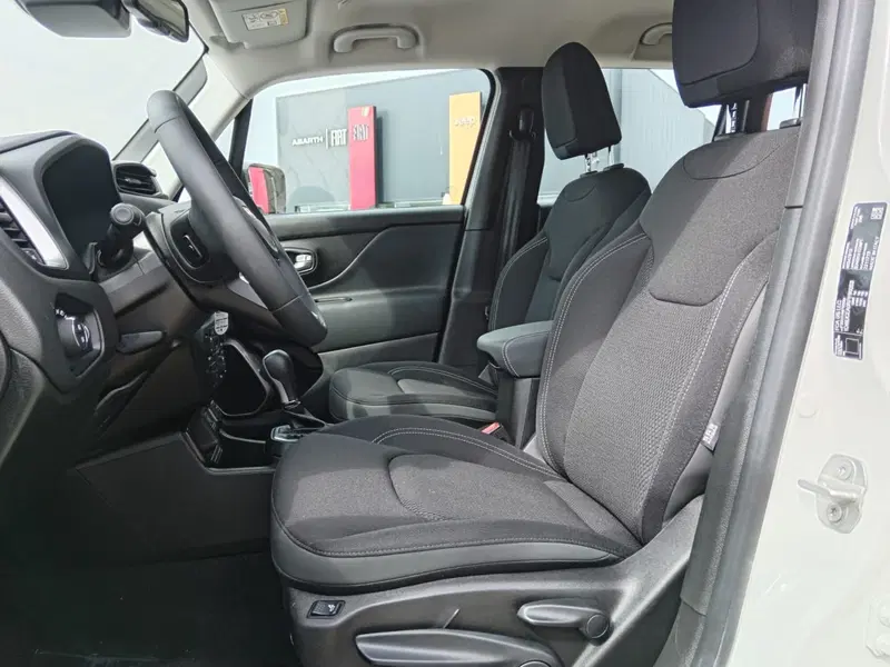 Jeep Renegade usata a Alessandria (11)