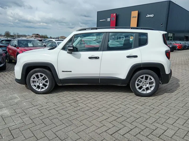 Jeep Renegade usata a Alessandria (8)