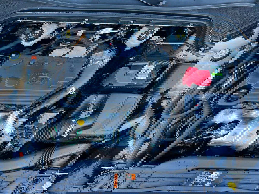 Ford Focus usata a Sondrio (17)