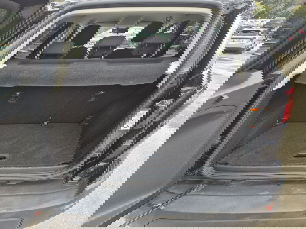 Ford EcoSport usata  (11)