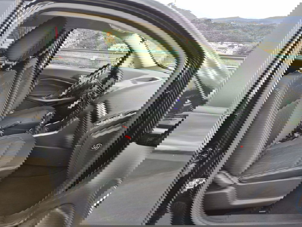 Ford EcoSport usata  (9)