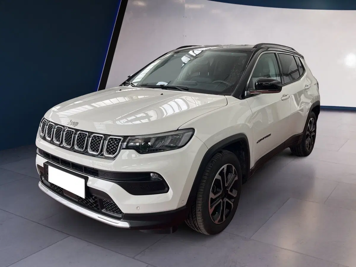Jeep Compass usata a Torino (2)