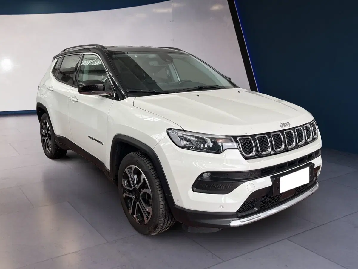 Jeep Compass usata a Torino (3)