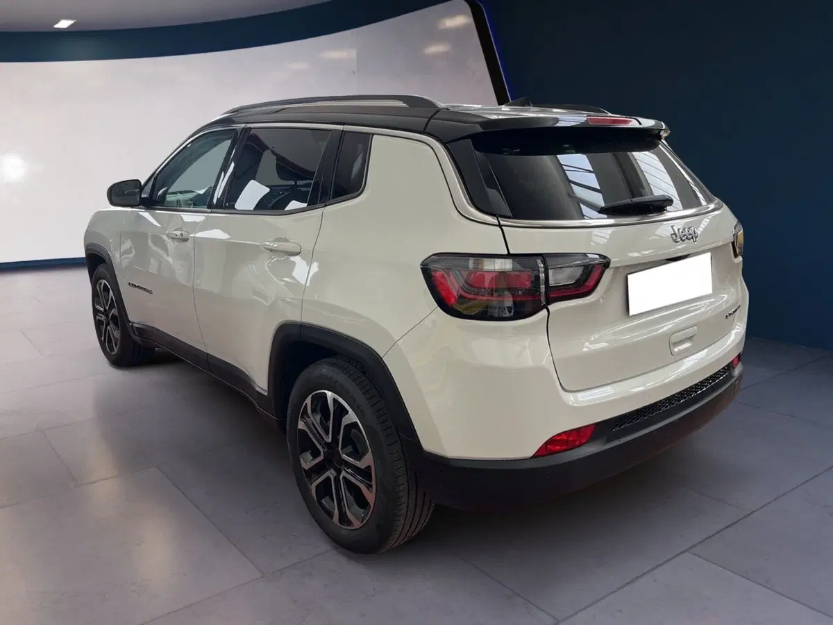 Jeep Compass usata a Torino (6)
