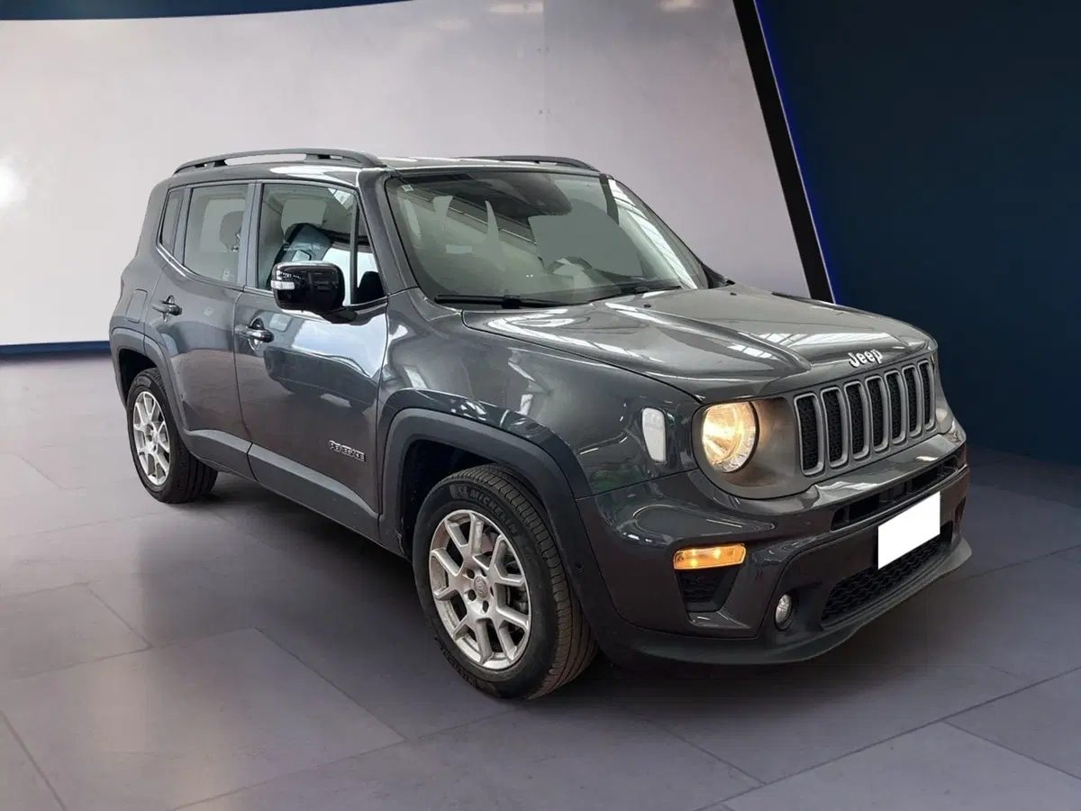 Jeep Renegade usata a Torino (2)