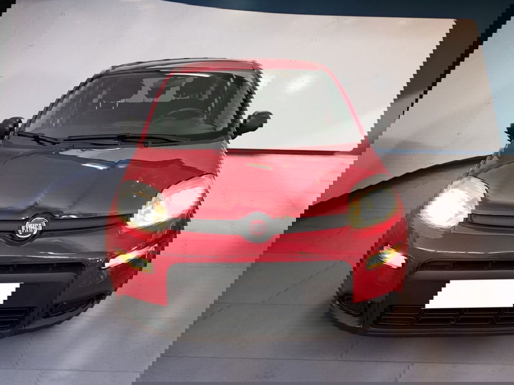 Fiat Panda Cross usata a Torino